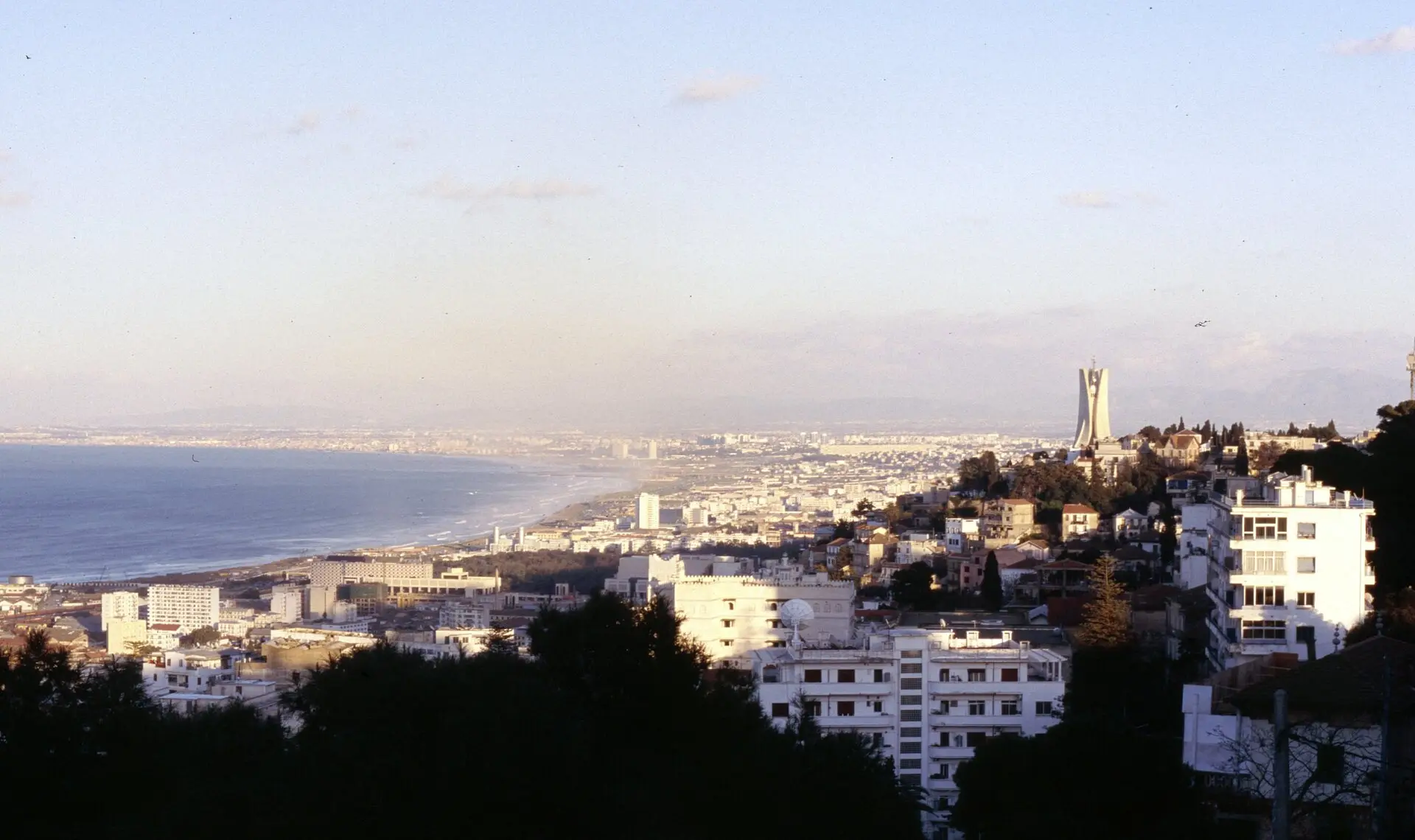 Algiers from the heights: white apartment blocks stepping down to the bay, the Martyrs' Memorial on the ridge